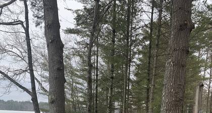 Cozy Lakefront Cabin Getaway - Enjoy Eagle Viewing, Fishing and Kayaking