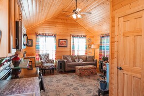 TV - Cabin 1 at Widows Peak • Terlingua, Big Bend (Terlingua)