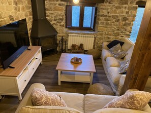 Smart TV, fireplace, video games, books