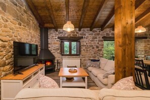 Smart TV, chimenea, videojuegos y libros