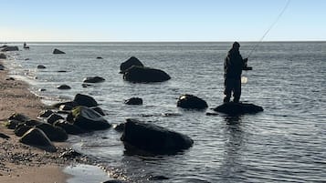 Tæt på stranden, fiskeri
