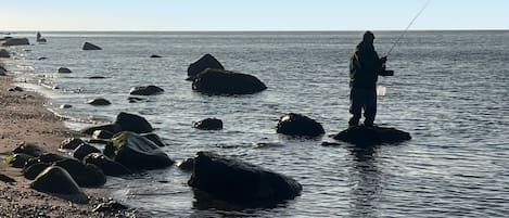 Beach nearby, fishing