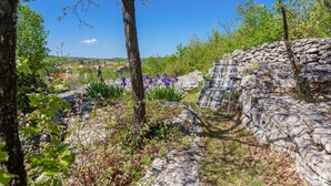 Un mur de pierres, un arbre et une chaise, le tout dans un environnement naturel.