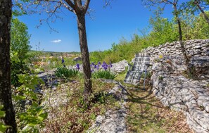 المنطقة المحيطة بالمنشأة