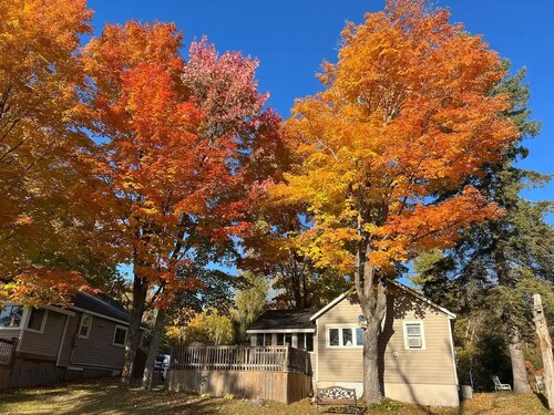Traditional Cottage in Muskoka Lakes Bala