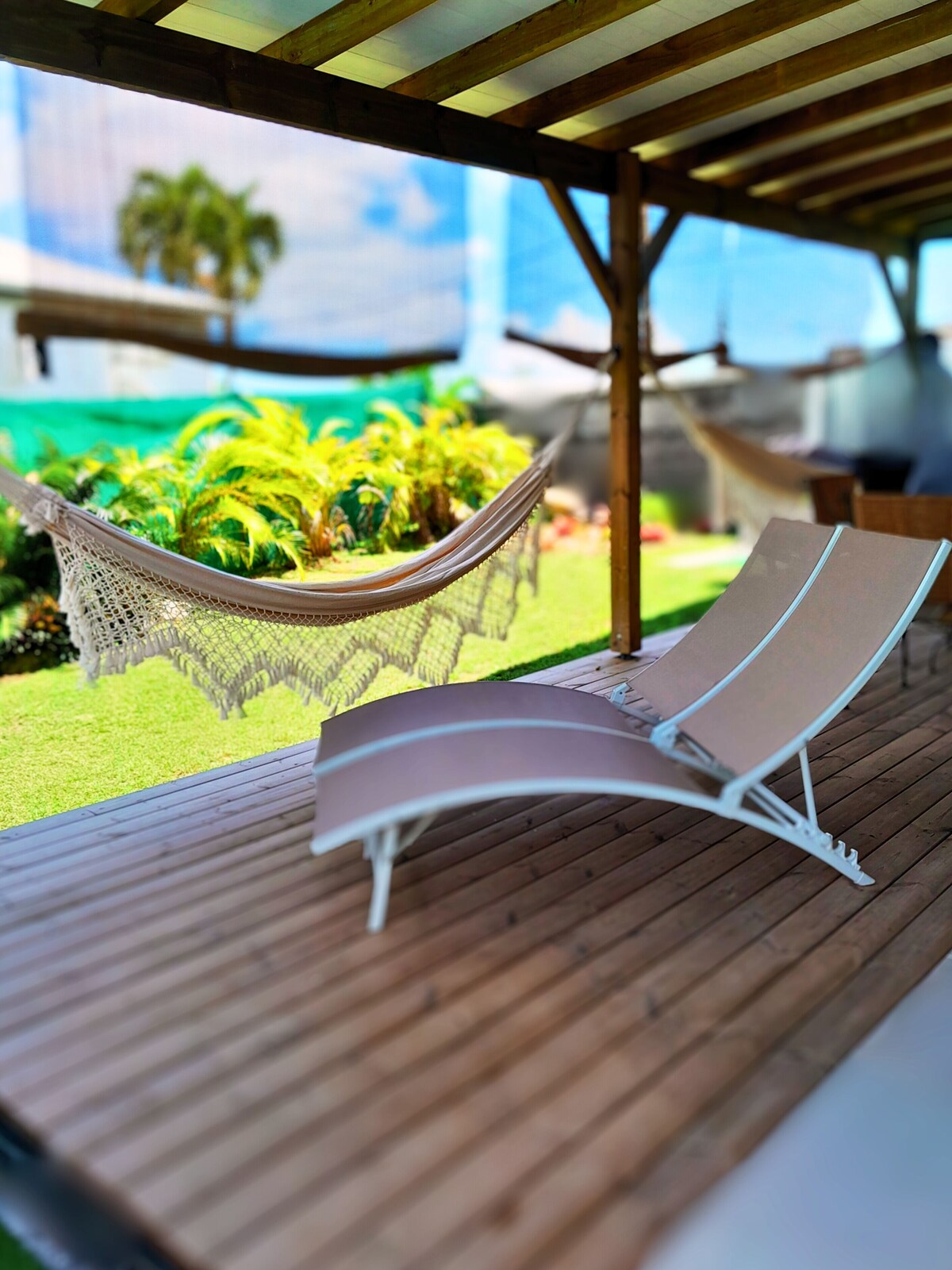 Image de profil de l’hôte