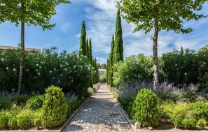 المنطقة المحيطة بالمنشأة