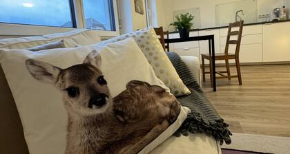 58qm Ferienwohnung "auf Der Höll" im Neubau