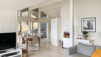 Smart-TV, Kamin