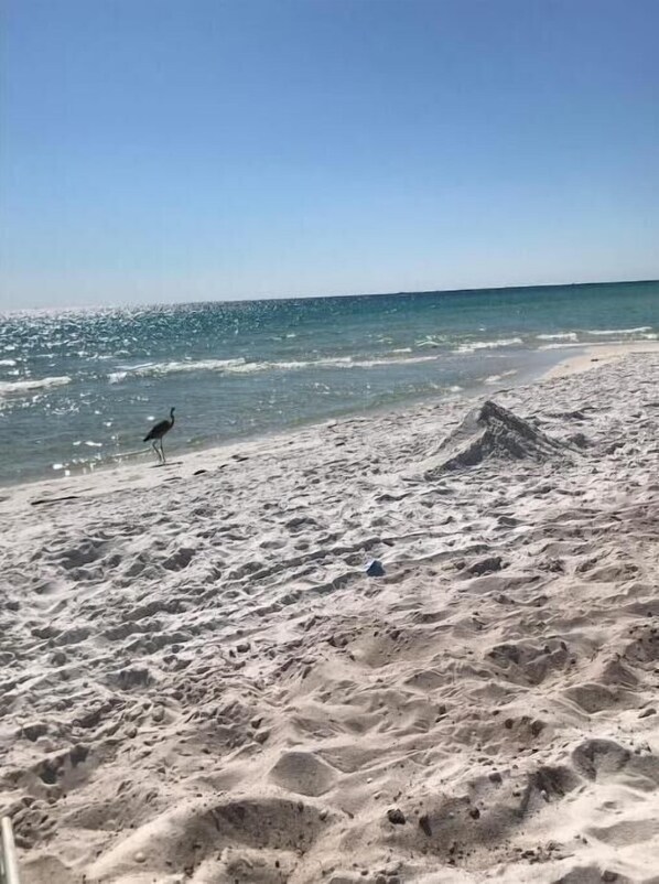 På stranden