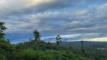 A lush green landscape with dense vegetation and a cloudy sky.