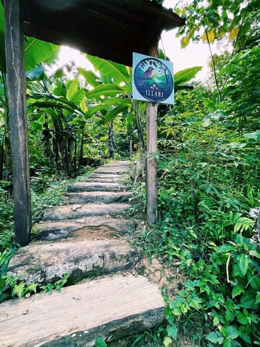 Cabañas en un Mirador, divisa la biodiversidad amamzónica
