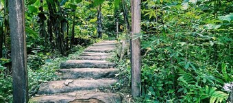 Cabañas en un Mirador, divisa la biodiversidad amamzónica
