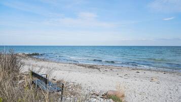 Vlak bij het strand, vissen