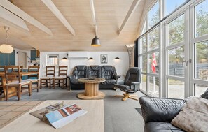 Televisor, llar de foc, futbolí i taula de tennis de taula