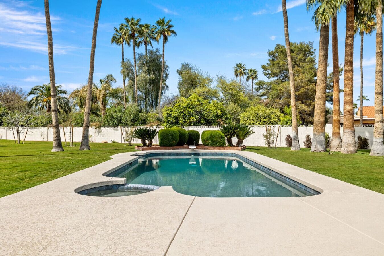 A swimming pool with a curved edge, surrounded by a well-maintained lawn and palm trees.