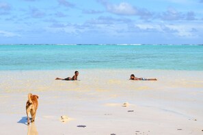 A beach scene with two people lying on the sand and a dog walking towards them.