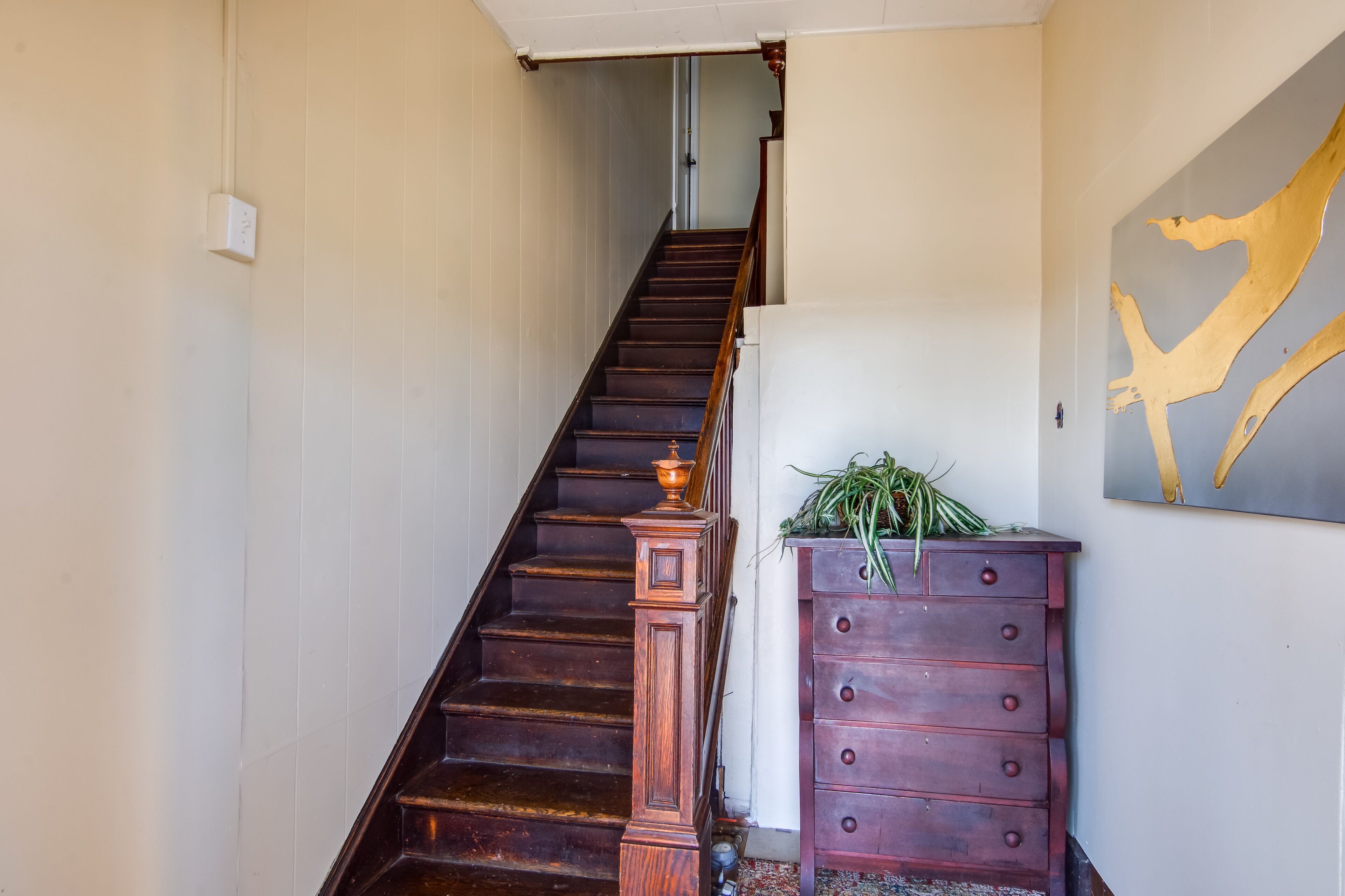 Un escalier en bois à la teinte foncée, une plinthe en bois et une plante fixée au mur.
