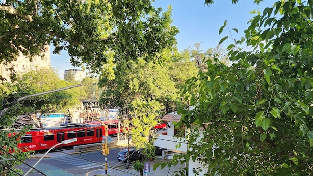 Vista de una calle con tranvía, automóviles y árboles.