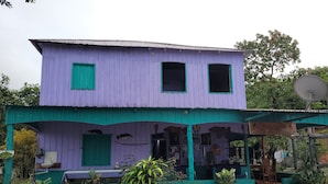 A two-story building with a purple exterior and green accents, featuring a covered porch with potted plants and a satellite dish. - POUSADA CANTO DOS PÁSSAROS (Manaus)