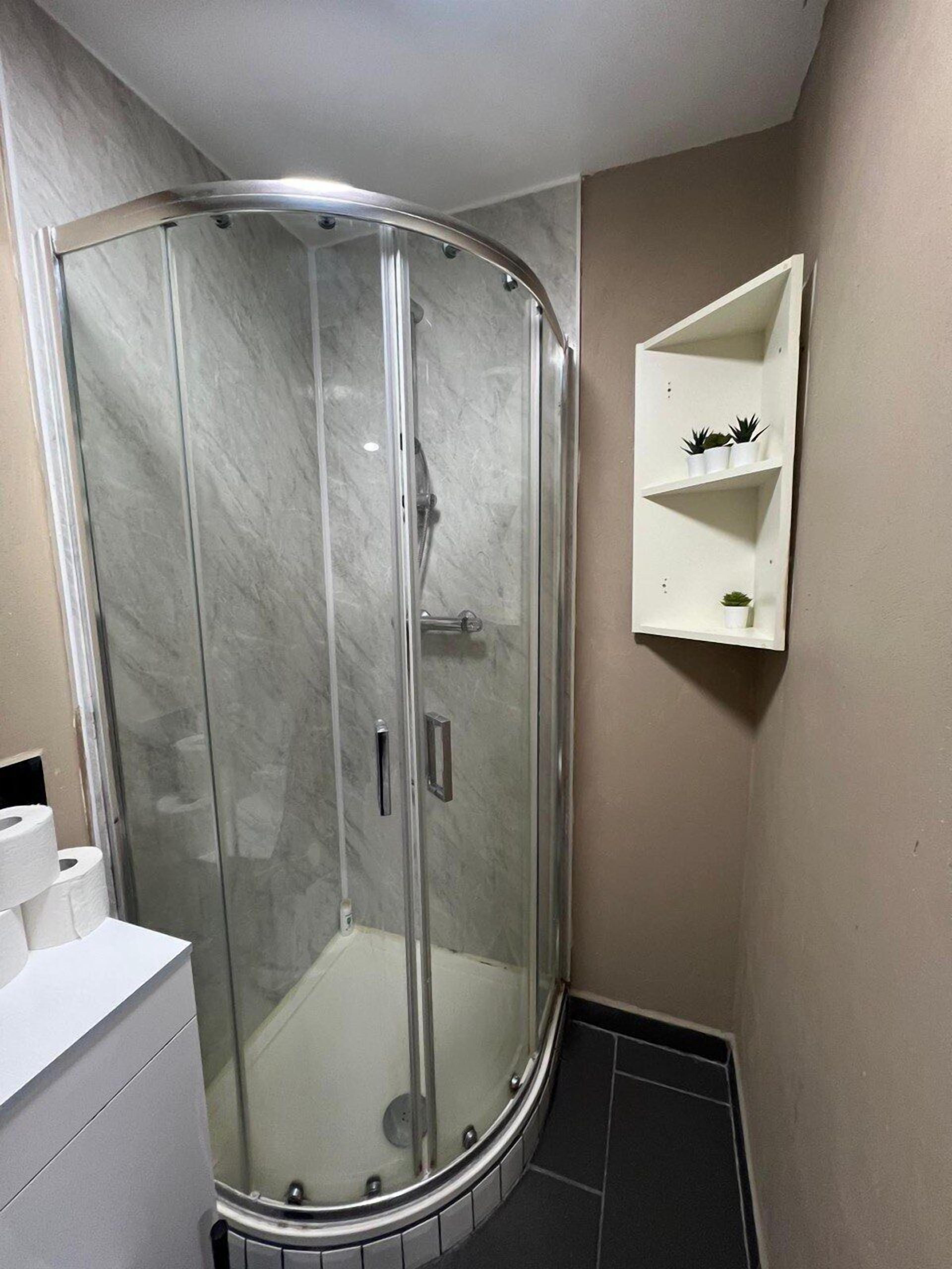 Une salle de bain moderne avec une douche à parois de verre, un meuble-lavabo blanc doté d’un porte-rouleau de papier toilette et une petite étagère blanche ornée de plantes en pot.
