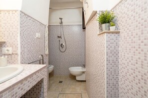 Shower, hair dryer, bidet, towels