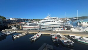 A marina with various boats docked, including a large white vessel labeled "Light Houses & Nature Cruises."