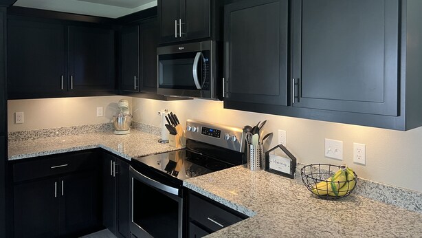 A modern kitchen with dark cabinetry, a stainless steel microwave, and granite countertops. - Family home (Roseburg)