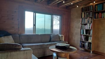 Chimenea y libros