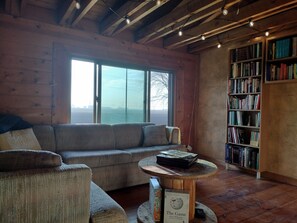 Fireplace, books