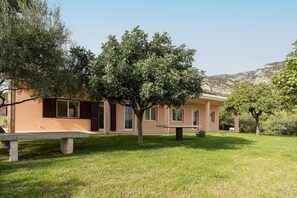 Terrace/patio - OLIVE VILLETTA: delightful cottage in the countryside (Orosei)