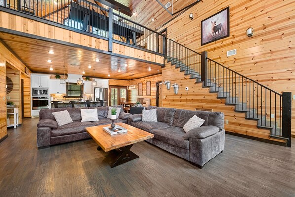 TV, fireplace, books