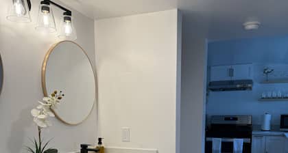 Newly renovated home walkable to Downtown/Restaurants/Park