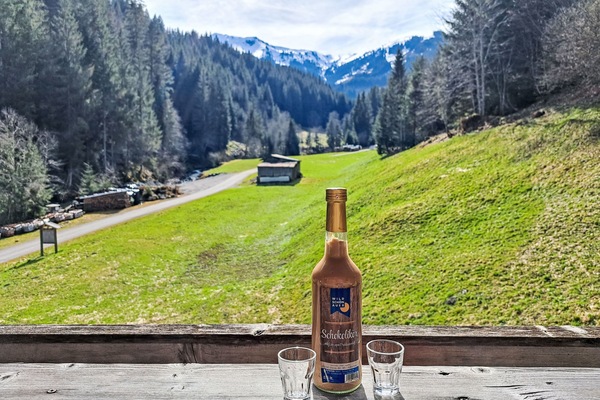 Vue depuis l’hébergement