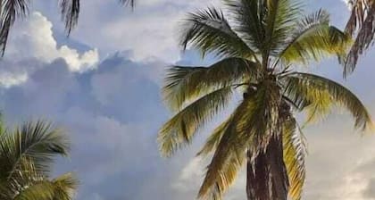 Trips Guna Yala