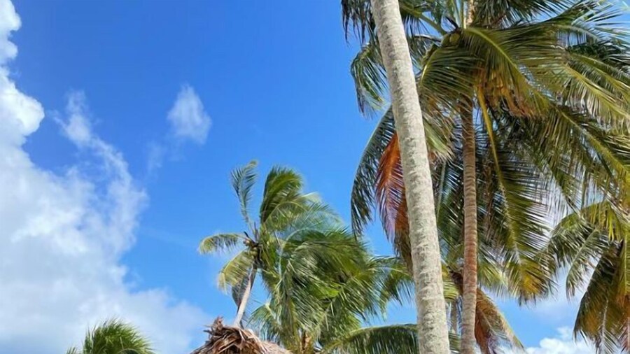 Trips Guna Yala