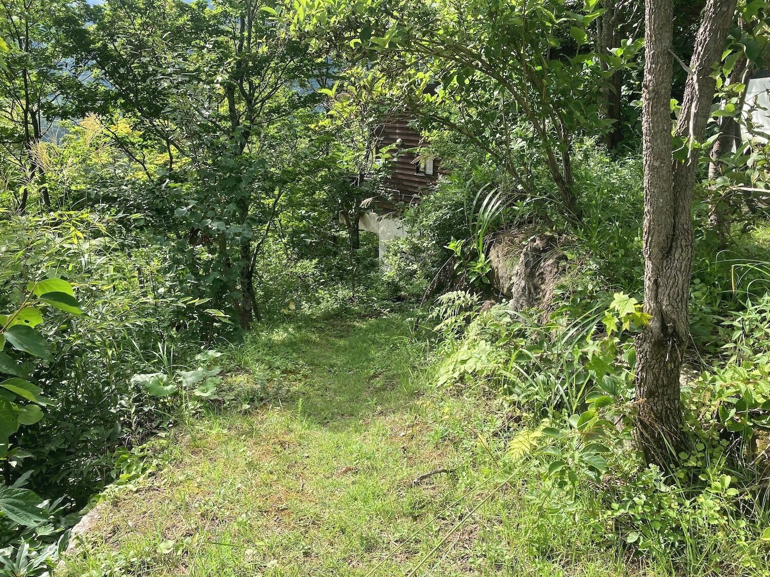 A natural, wooded area with a path leading to a dilapidated structure.
