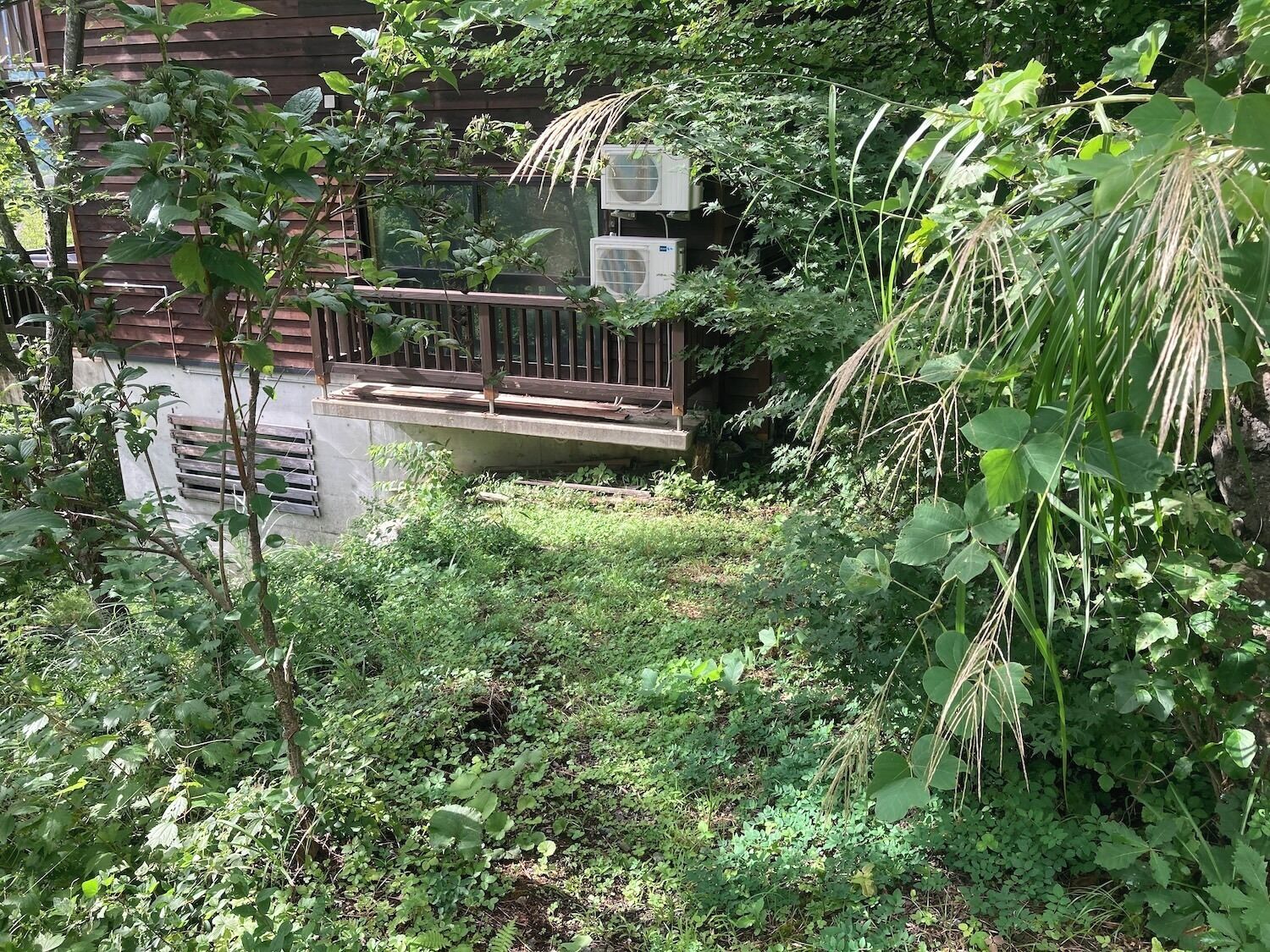 A lush garden with dense foliage, a wooden deck, and an air conditioning unit.