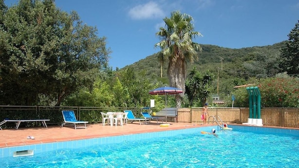 A swimming pool with clear blue water, surrounded by lounge chairs and a palm tree. - Casa Pamalù 5 with pool in the beautiful bay of Nisporto (Rio dell'Elba)