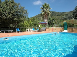 Une piscine à l’eau d’un bleu cristallin, entourée de chaises longues et d’un palmier.