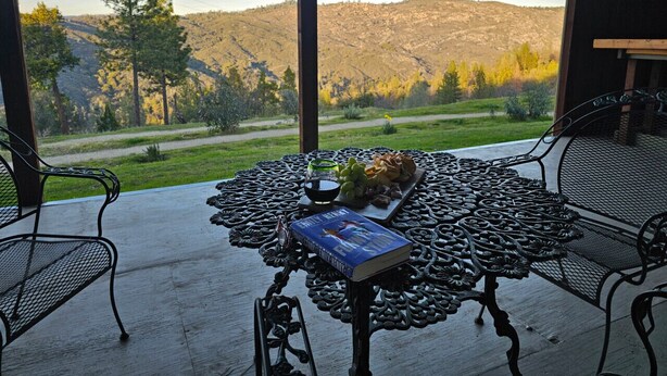 Un patio con una mesa dispuesta para una comida, que incluye un libro, uvas y queso.