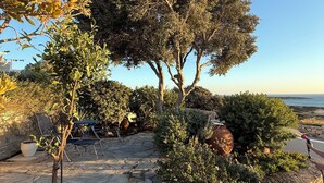 A stone patio with outdoor furniture, surrounded by various plants and trees.