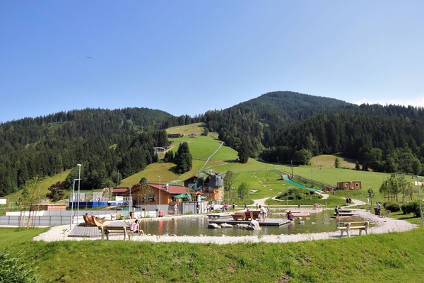 Ciel, Montagne, Plante, Paysage Naturel, Arbre, Montagnes, Lot Terre, Herbe, Prairie, Paysage