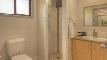 A bathroom with a toilet, a shower, a sink, and a mirror.