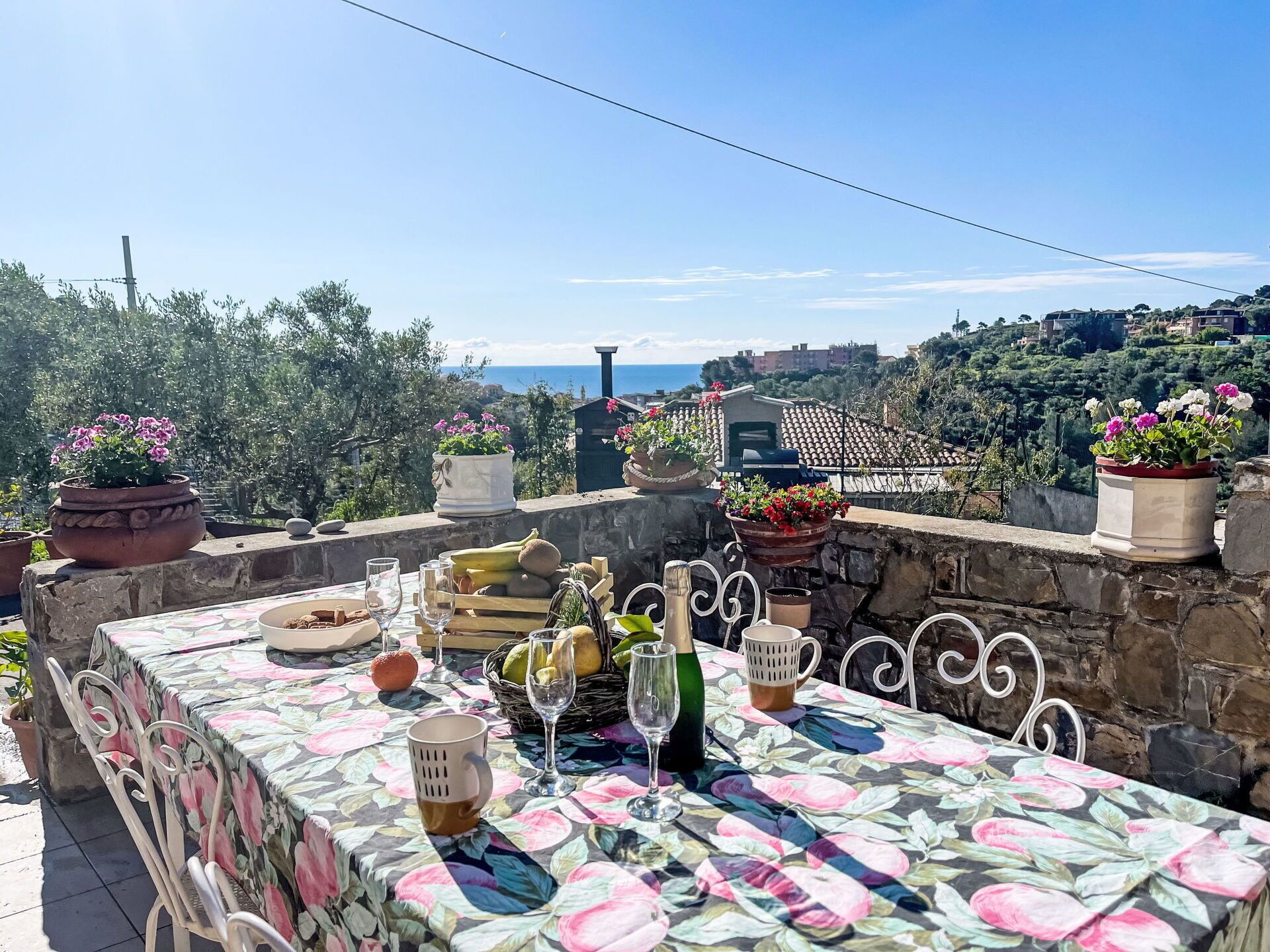 Plante, Ciel, Pot De Fleur, Nuage, Table, Textile, Nappe De Table, Espace Public, Fleur, Design Urbain