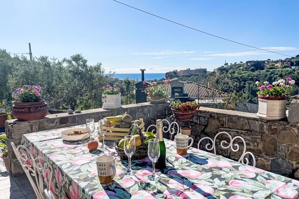 Plante, Ciel, Pot De Fleur, Nuage, Table, Textile, Nappe De Table, Espace Public, Fleur, Design Urbain