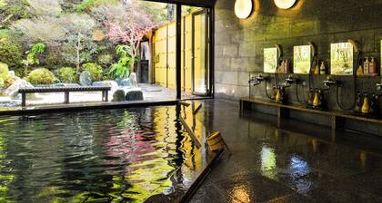 Okutenryu Fudouonsen Sawaya