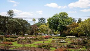 A garden with various plants and flowers, trees, and a clear sky. - Auckland City Private-Modern Downstairs Ensuite+Patio+secluded Garage in Parnell (Auckland)