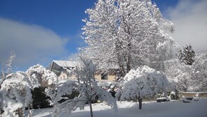 Schneebedeckte Landschaft mit einem großen Baum und einem Gebäude im Hintergrund.