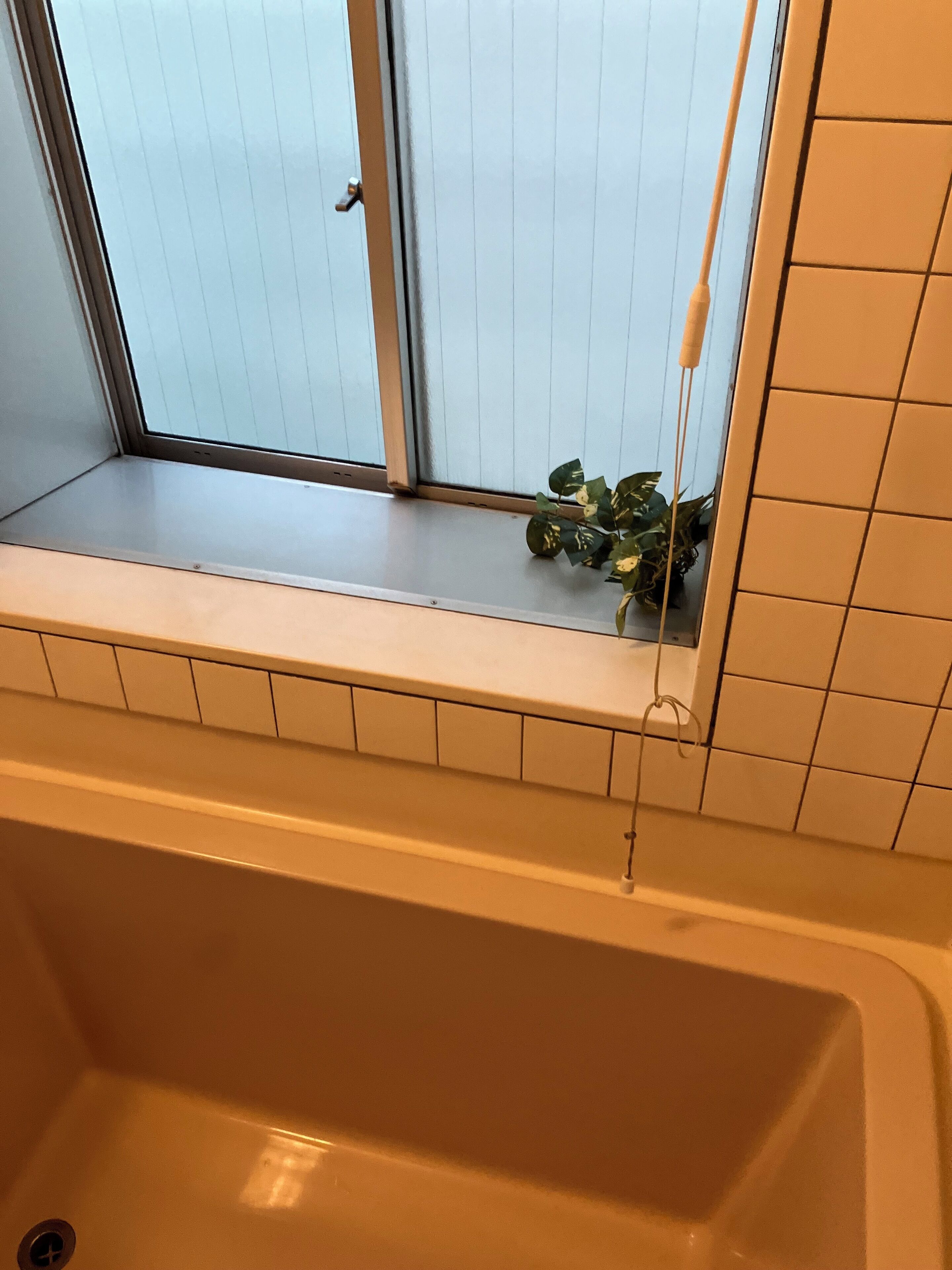 Ein Badezimmer mit Fenster, einer Badewanne und einem kleinen Topfpflanzen.